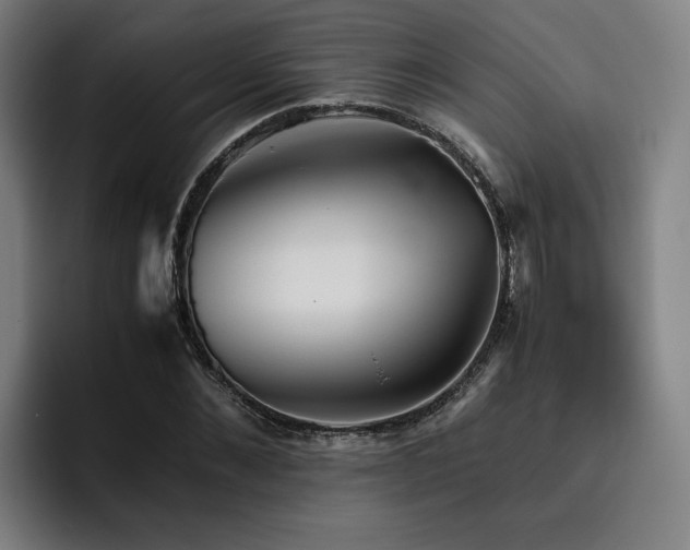 X0000093510876200710121529