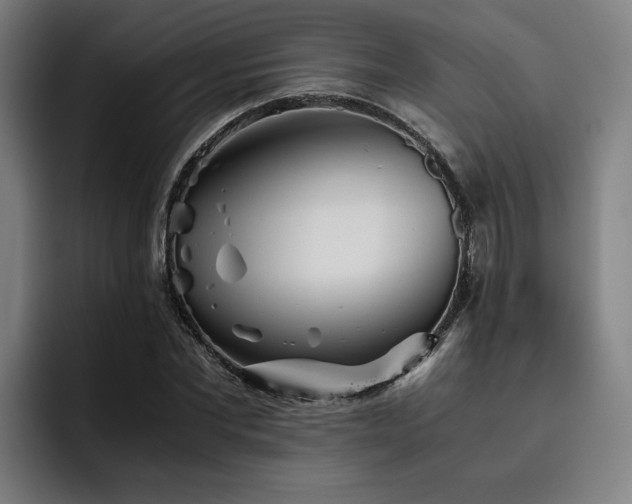 X0000093510877200710121529