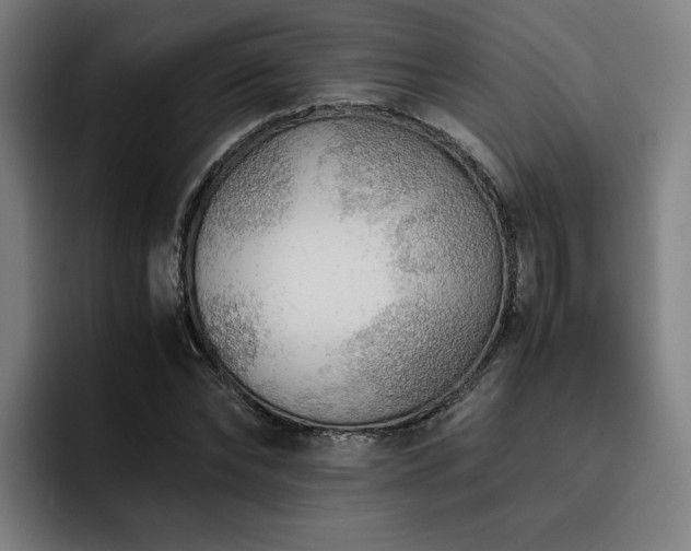 X0000093510878200710121529