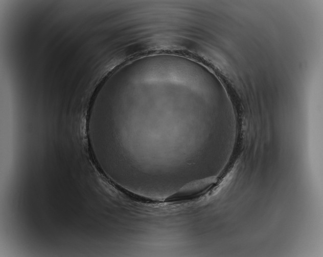 X0000093510881200710121529