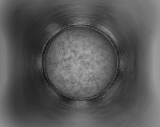 X0000093510882200710121529