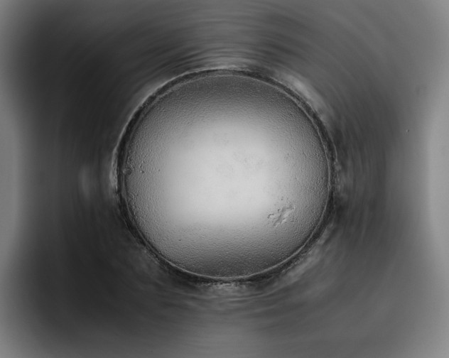 X0000093510883200710121529