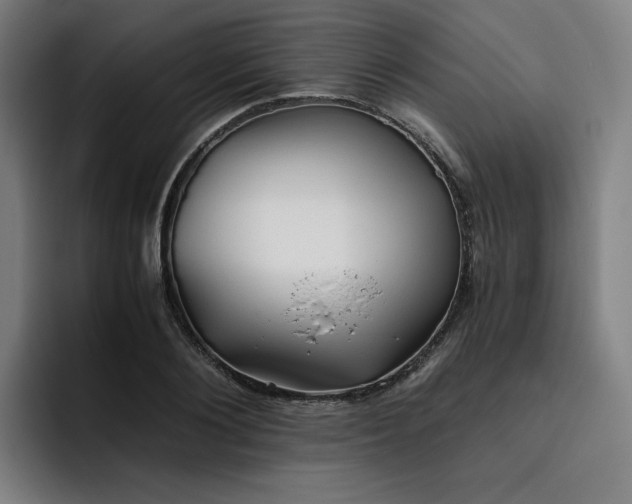 X0000093510884200710121529
