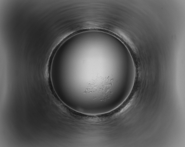 X0000093510885200710121529