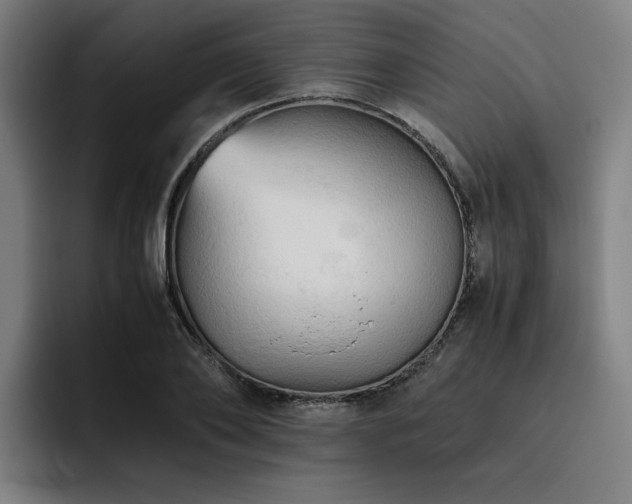 X0000093510886200710121529