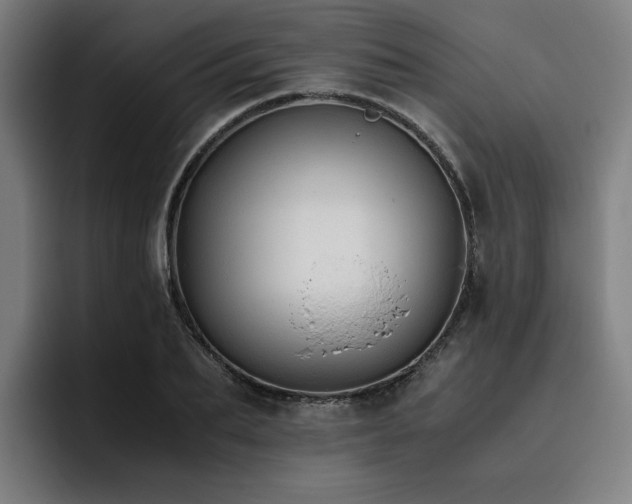 X0000093510887200710121529