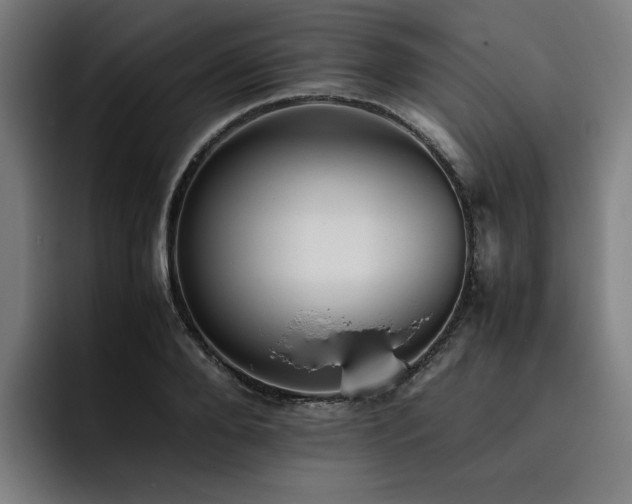 X0000093510888200710121529