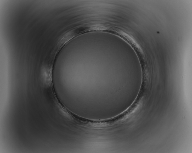X0000093510889200710121529