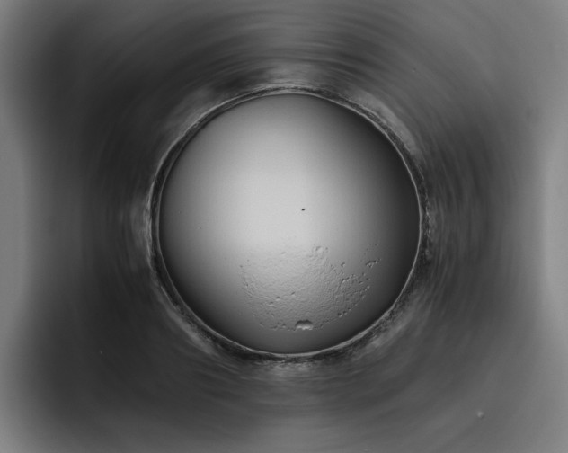 X0000093510890200710121529