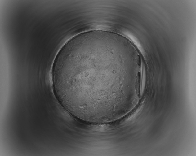 X0000093510891200710121529
