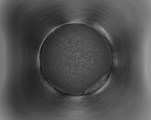 X0000093510892200710121529