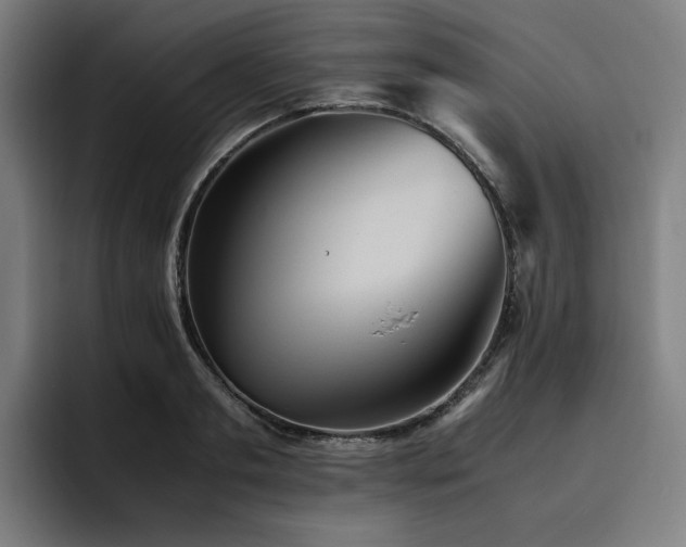 X0000093510893200710121529