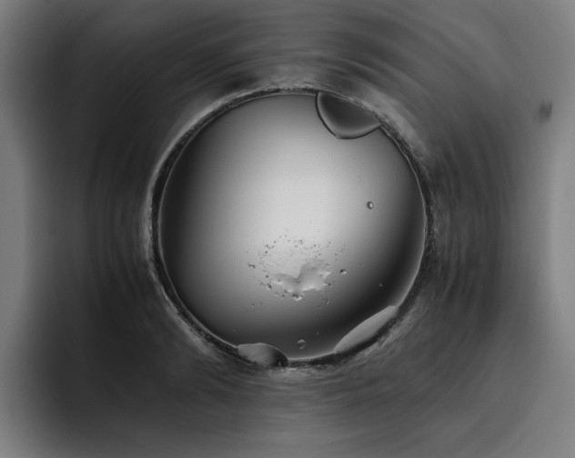 X0000093510894200710121529