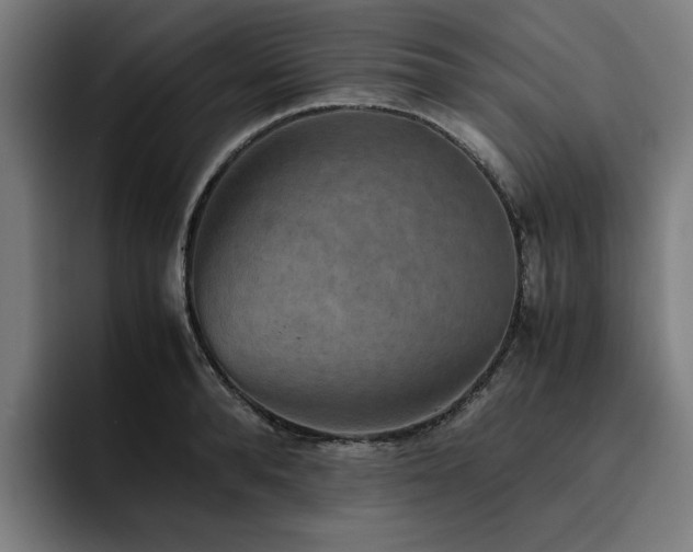 X0000093510896200710121529