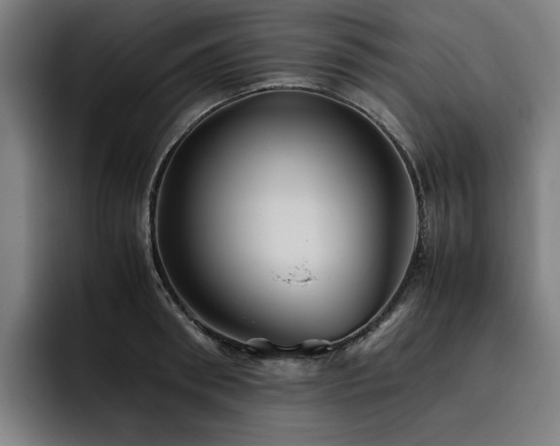 X0000093510898200710121529