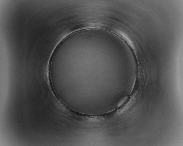 X0000093510899200710121529