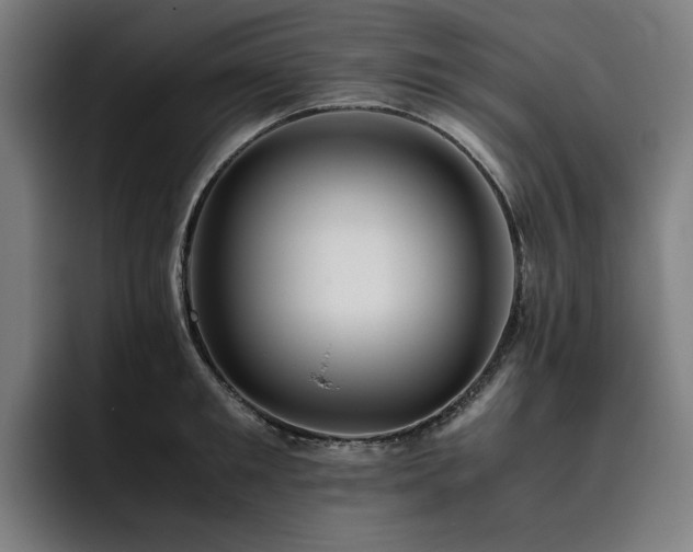 X0000093510901200710121529