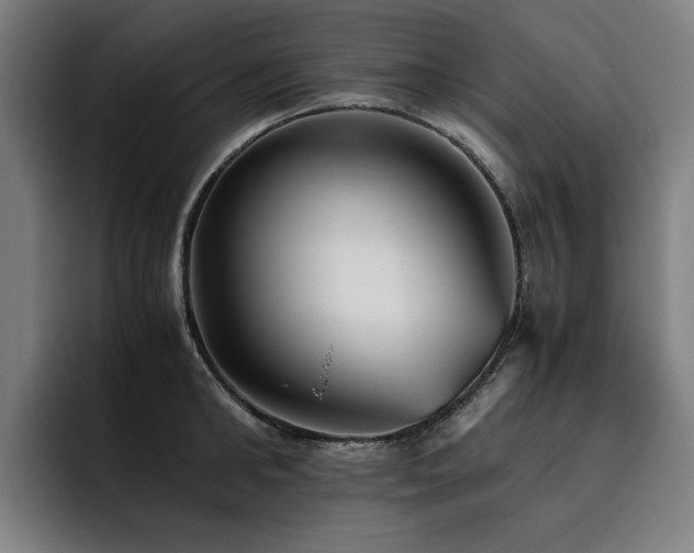 X0000093510902200710121529