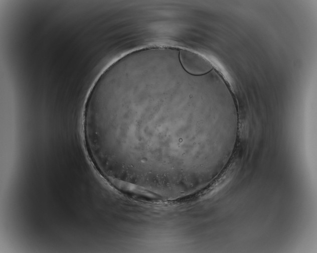 X0000093510903200710121529