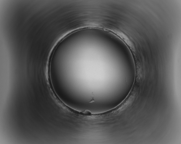 X0000093510904200710121529