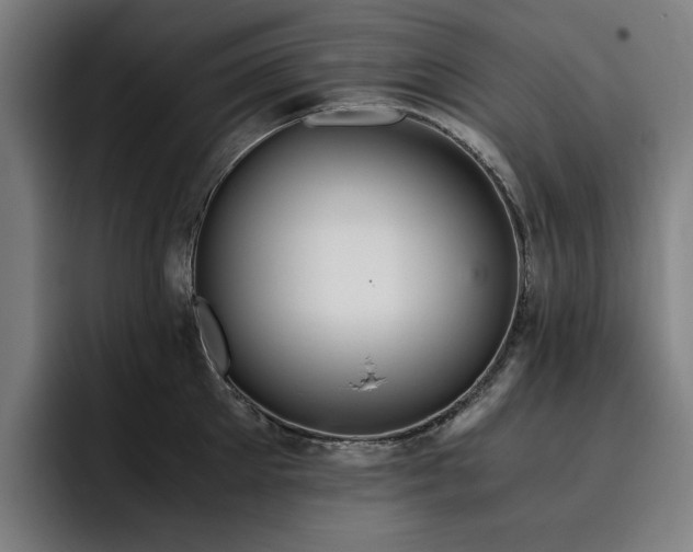 X0000093510905200710121529