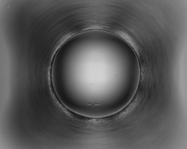 X0000093510906200710121529