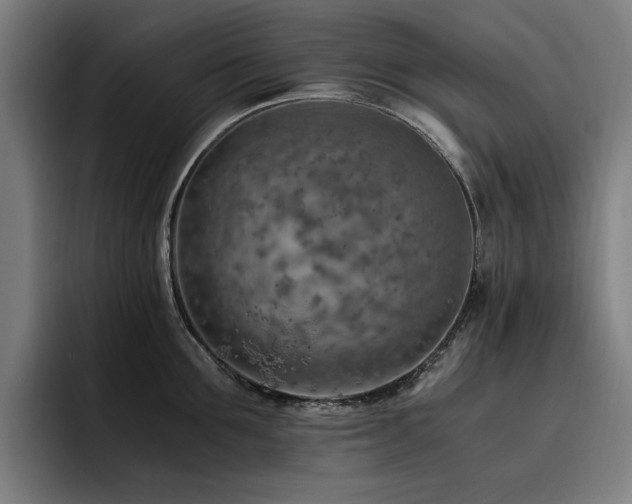 X0000093510907200710121529