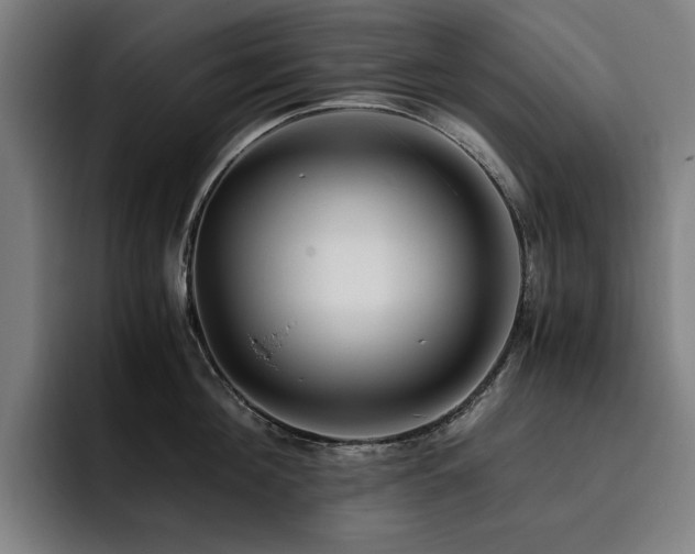 X0000093510908200710121529
