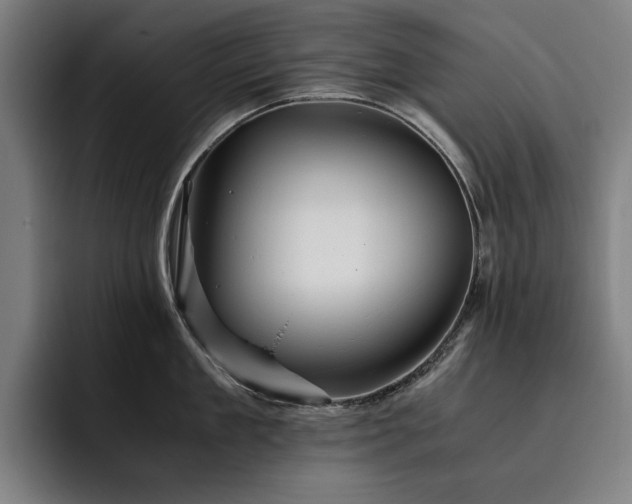X0000093510909200710121529