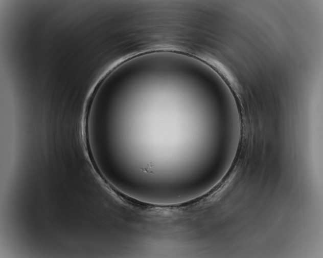 X0000093510910200710121529