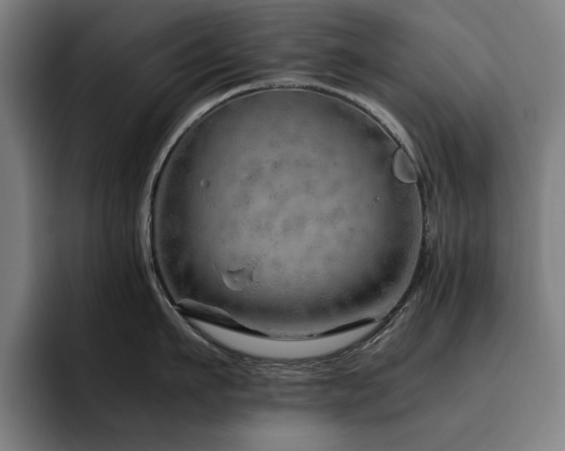 X0000093510911200710121529