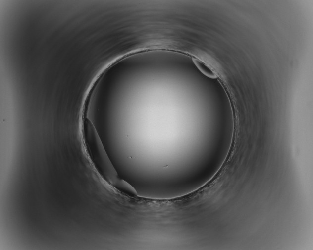 X0000093510912200710121529
