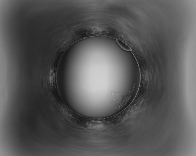 X0000093510914200710121529