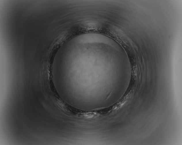 X0000093510916200710121529