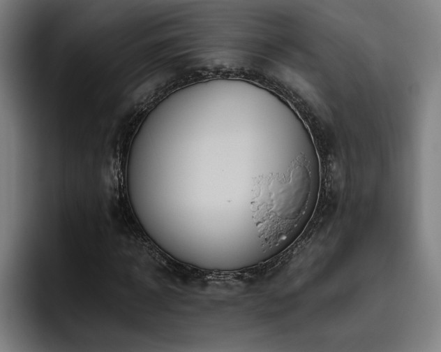 X0000093510918200710121529