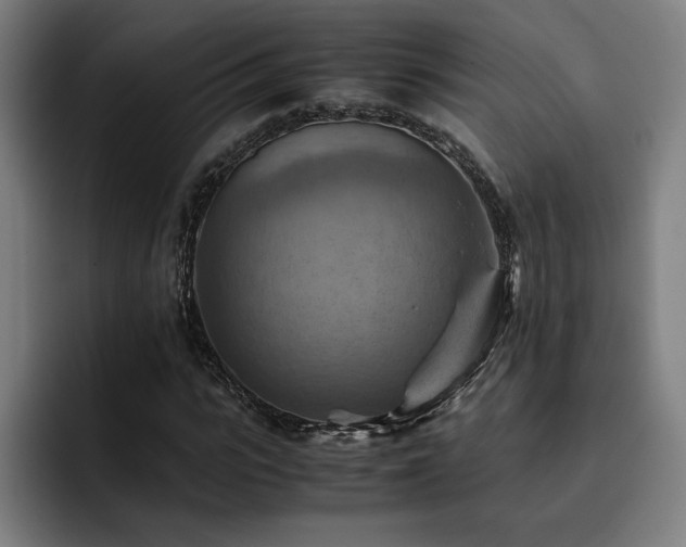 X0000093510919200710121529