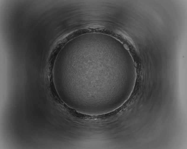 X0000093510920200710121529