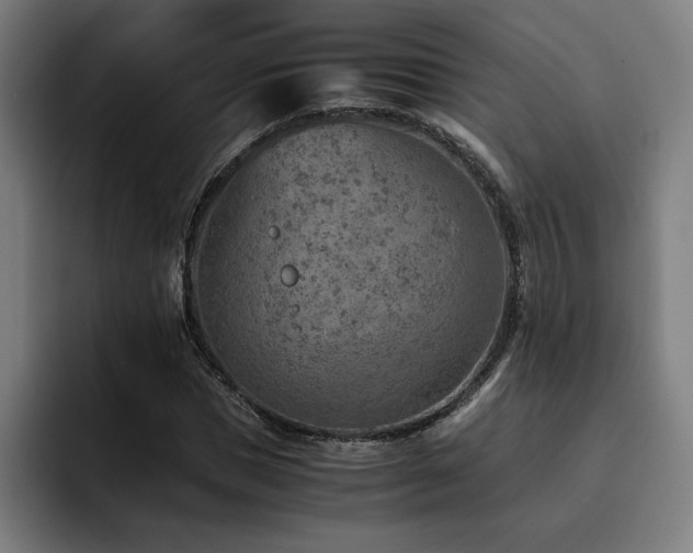 X0000093510921200710121529