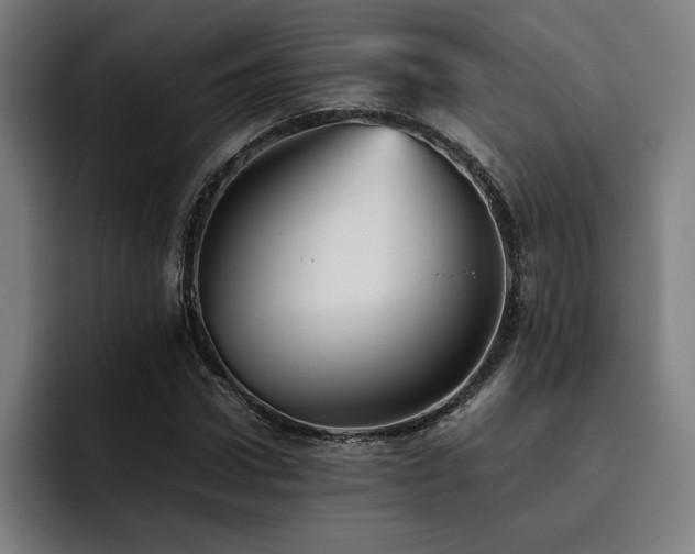 X0000093510922200710121529