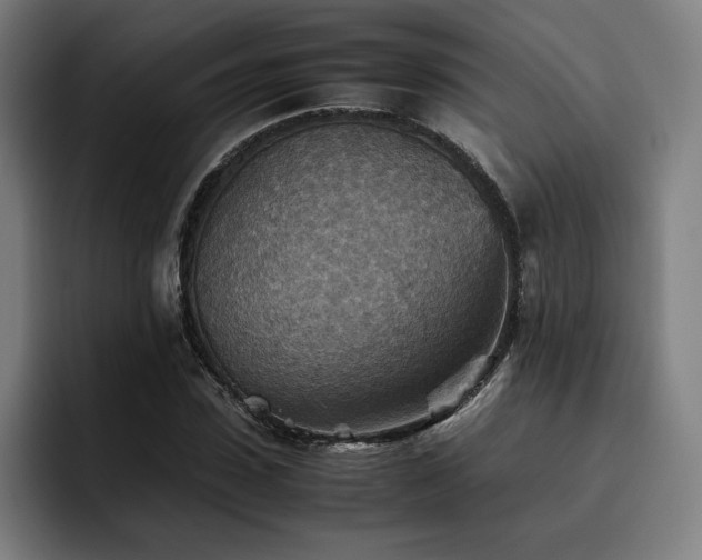 X0000093510923200710121529