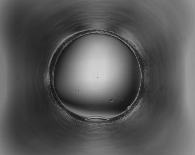 X0000093510924200710121529