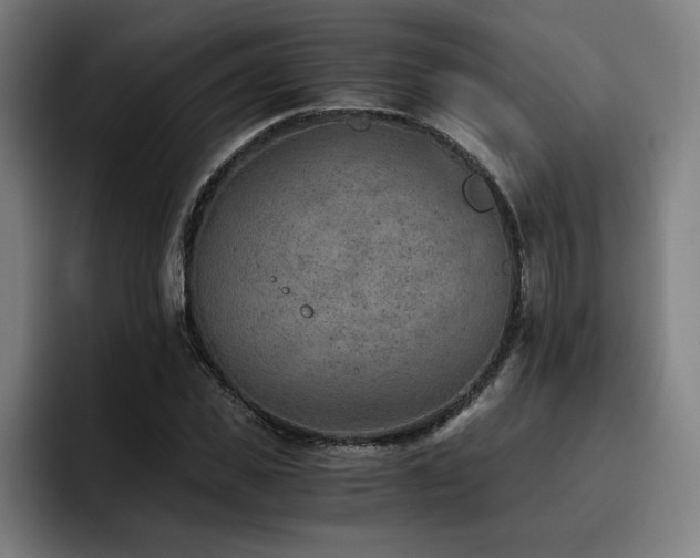 X0000093510925200710121529