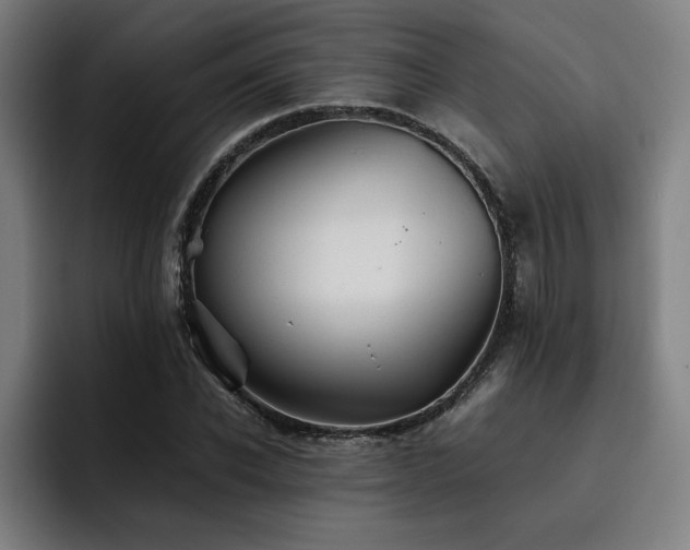 X0000093510926200710121529