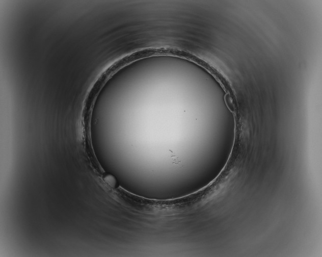 X0000093510927200710121529