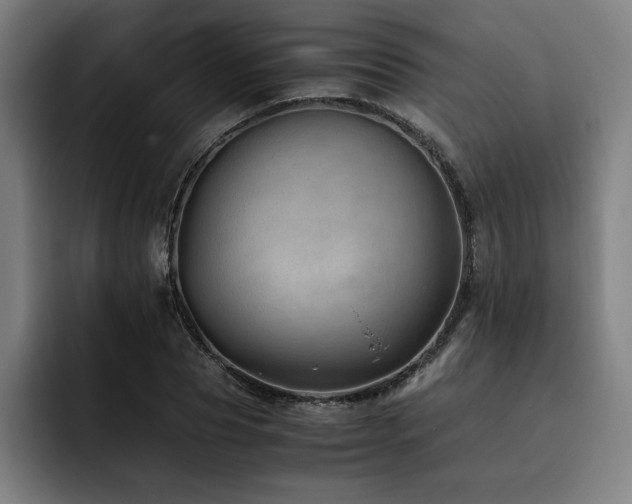 X0000093510929200710121529