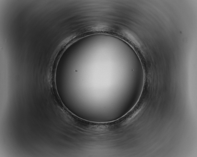 X0000093510930200710121529