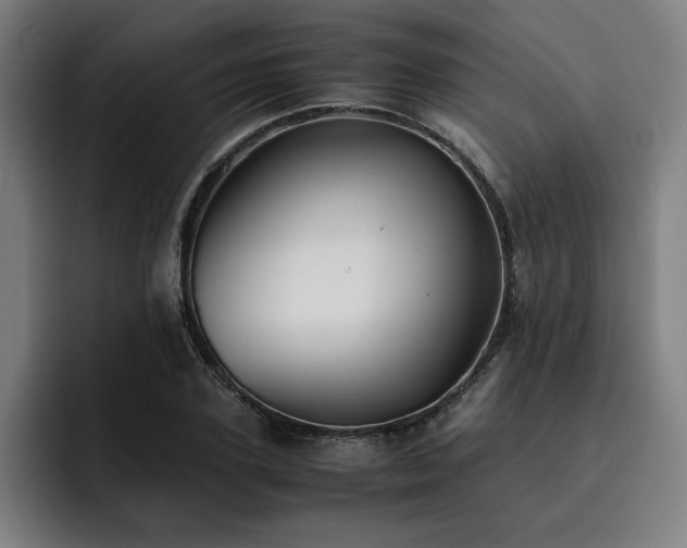 X0000093510931200710121529