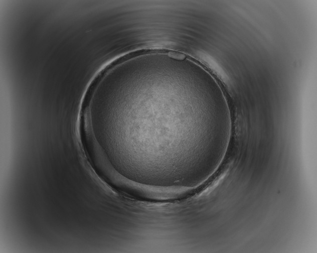 X0000093510932200710121529