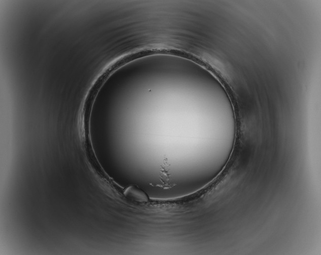 X0000093510934200710121529