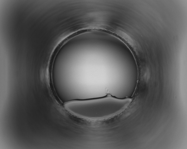 X0000093510936200710121529